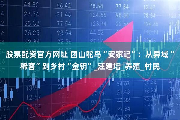 股票配资官方网址 团山鸵鸟“安家记”：从异域“稀客”到乡村“金钥”_汪建增_养殖_村民